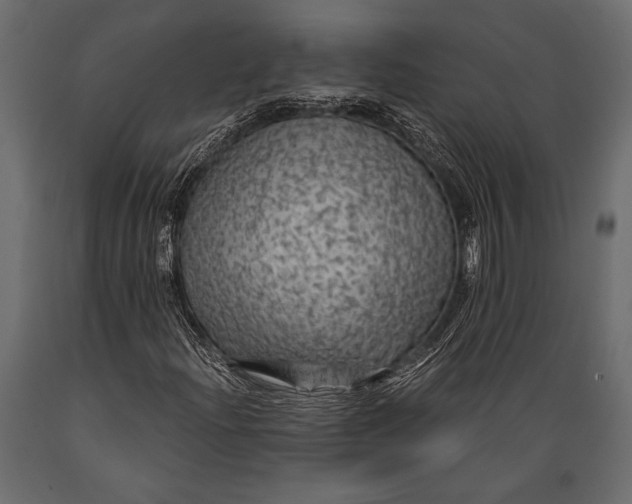 X0000088851204200706291447