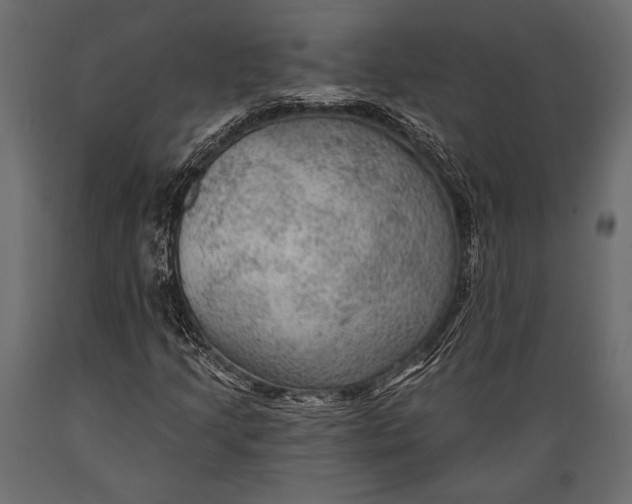 X0000088851205200706291447