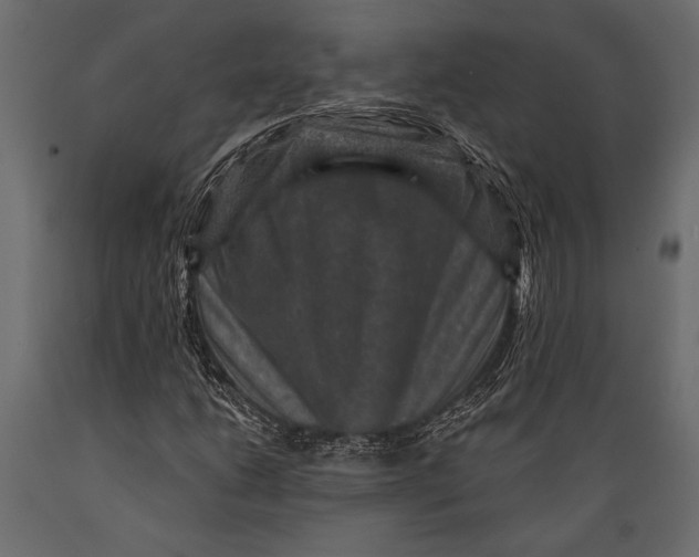 X0000088851206200706291447