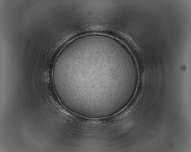 X0000088851209200706291447