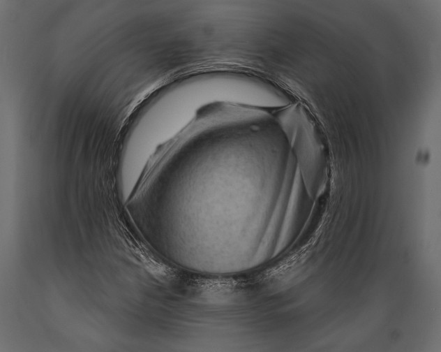 X0000088851210200706291447