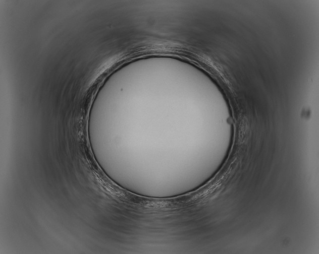 X0000088851211200706291447