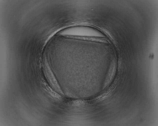 X0000088851212200706291447