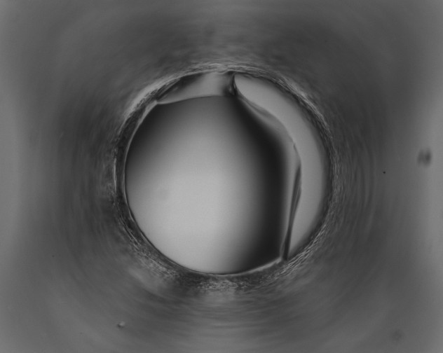 X0000088851214200706291447