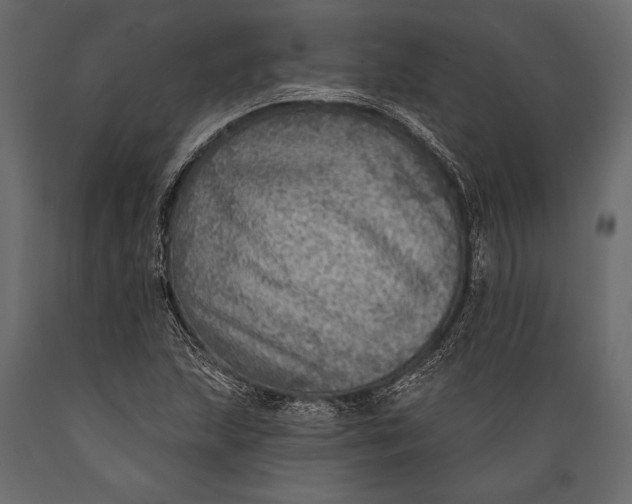 X0000088851215200706291447