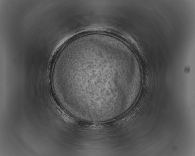 X0000088851216200706291447