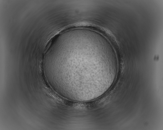 X0000088851217200706291447