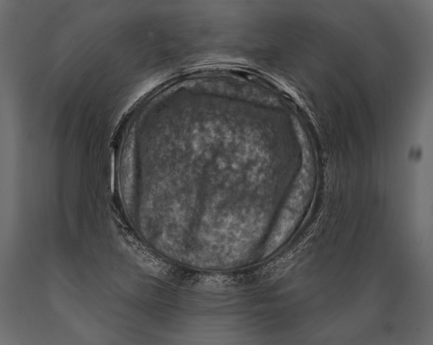 X0000088851219200706291447