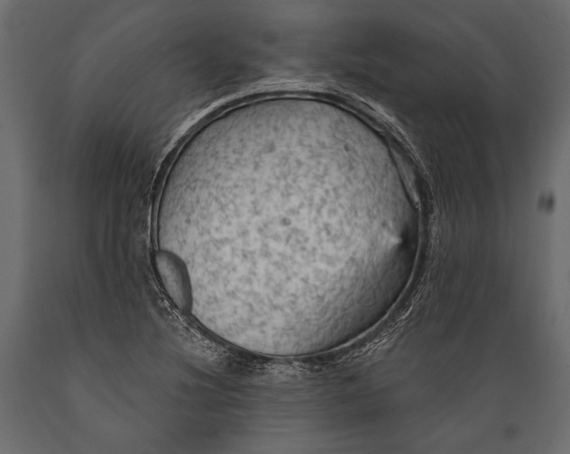 X0000088851220200706291447