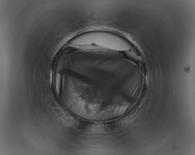 X0000088851221200706291447