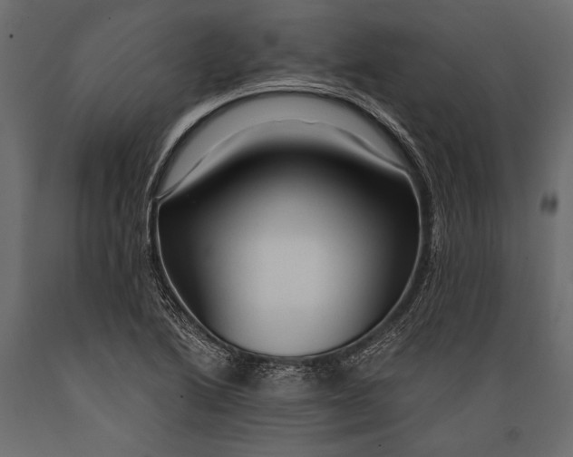 X0000088851222200706291447