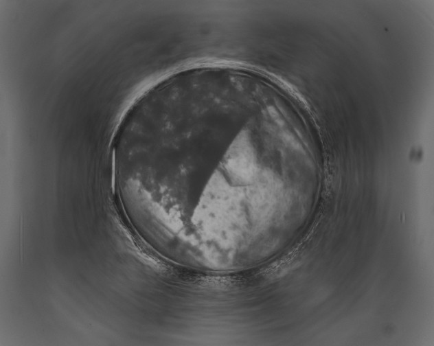 X0000088851223200706291447