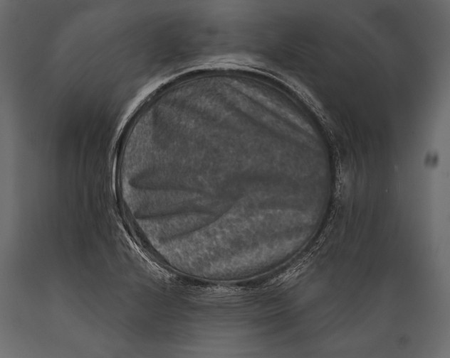 X0000088851224200706291447