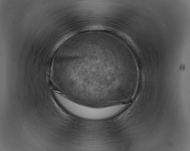 X0000088851225200706291447