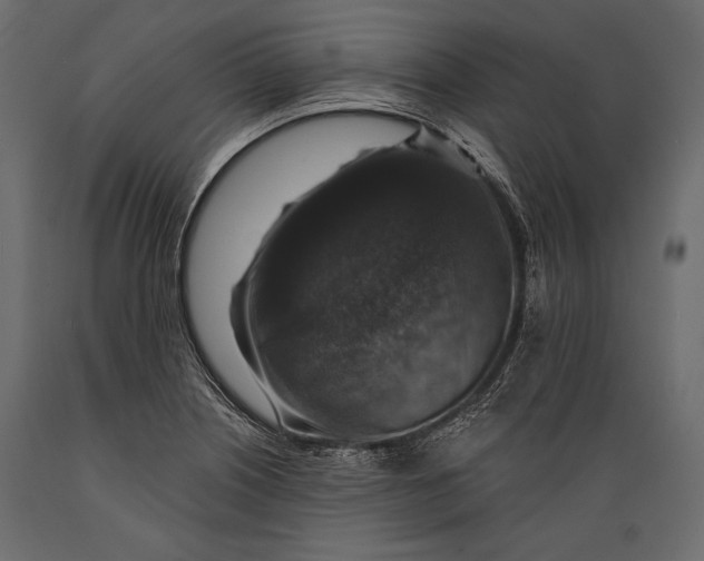 X0000088851226200706291447