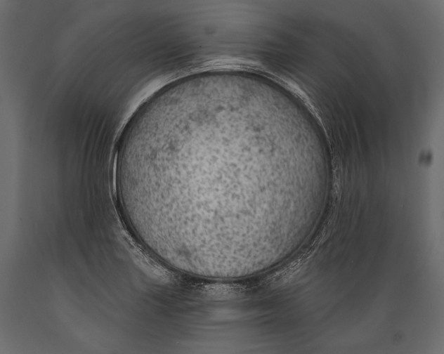 X0000088851227200706291447