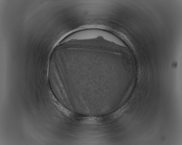 X0000088851228200706291448