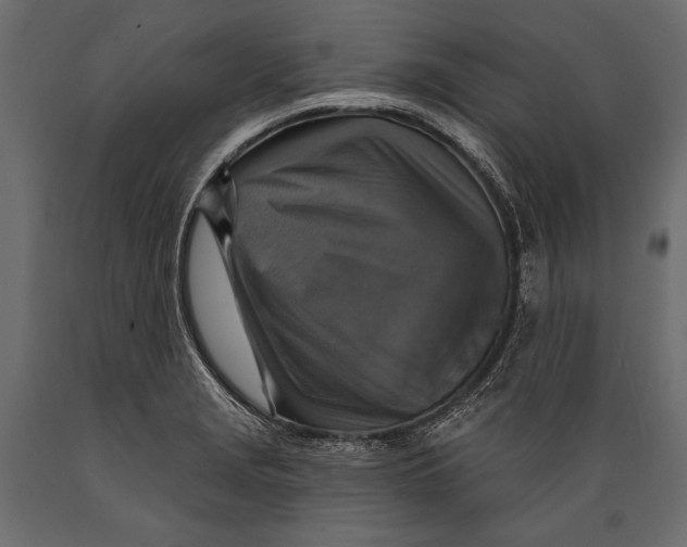 X0000088851229200706291448