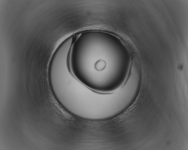 X0000088851230200706291448