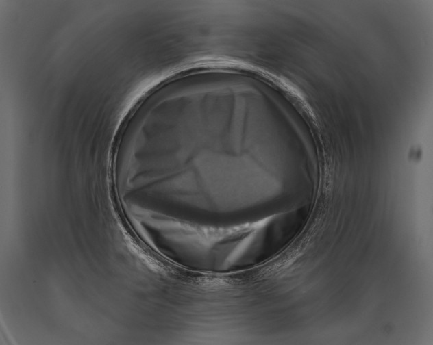 X0000088851231200706291448