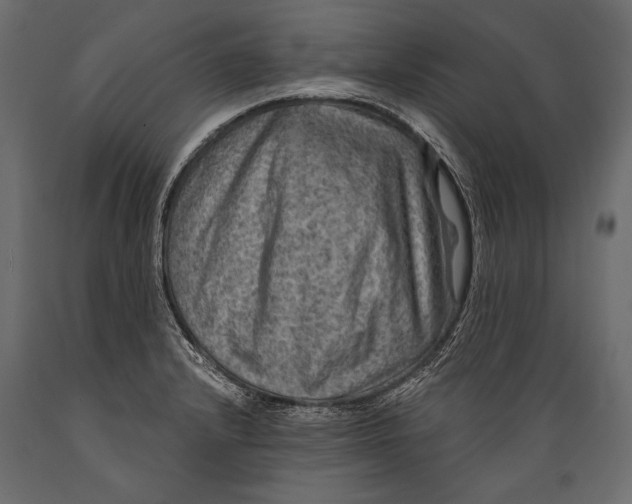 X0000088851232200706291448