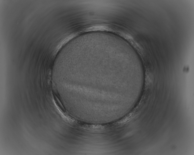 X0000088851233200706291448