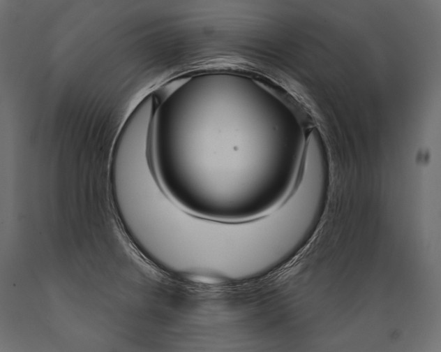 X0000088851234200706291448