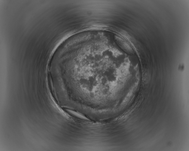 X0000088851235200706291448