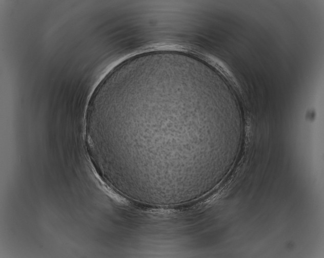 X0000088851236200706291448