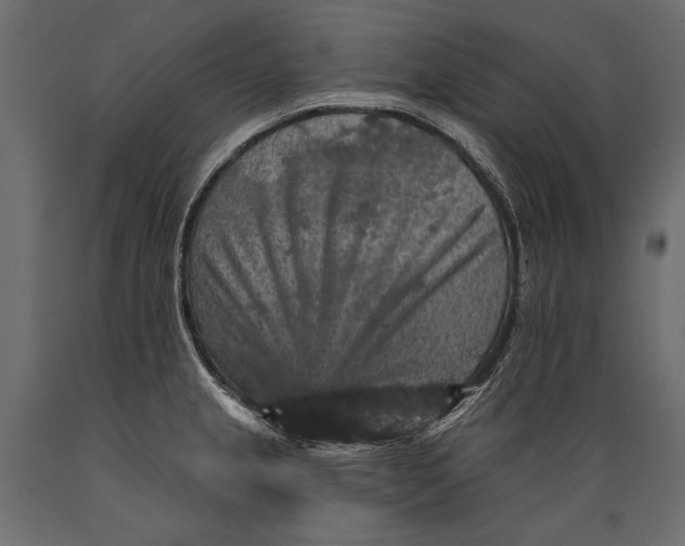 X0000088851237200706291448