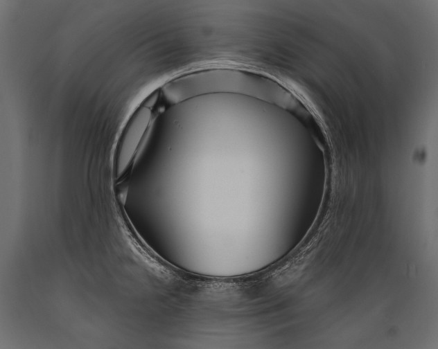 X0000088851238200706291448