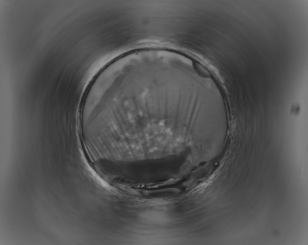 X0000088851239200706291448