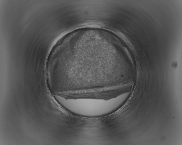 X0000088851240200706291448