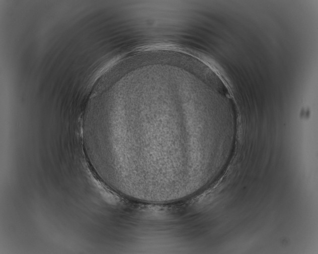 X0000088851241200706291448