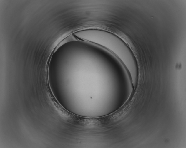 X0000088851242200706291448