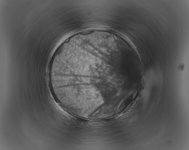 X0000088851243200706291448