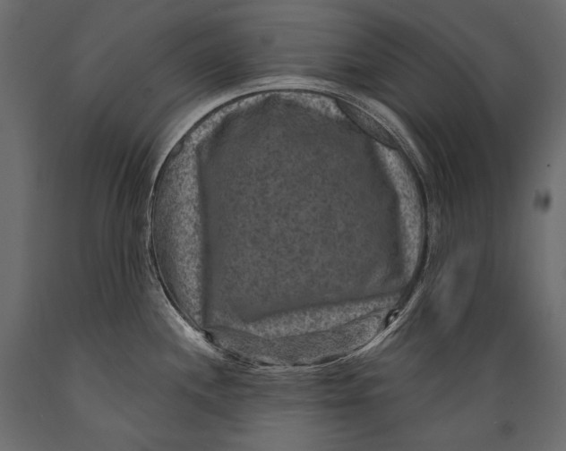 X0000088851244200706291448