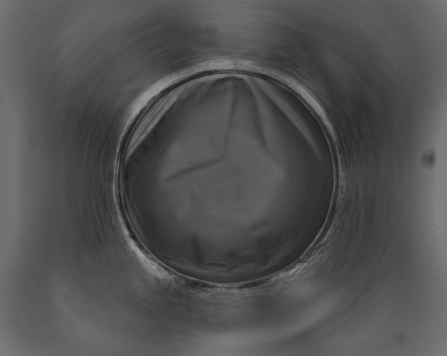 X0000088851245200706291448