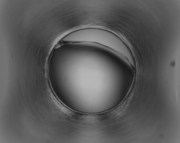 X0000088851246200706291448