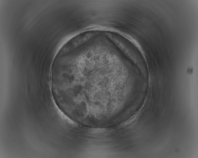 X0000088851247200706291448