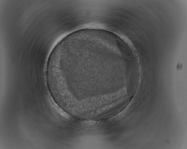 X0000088851248200706291448