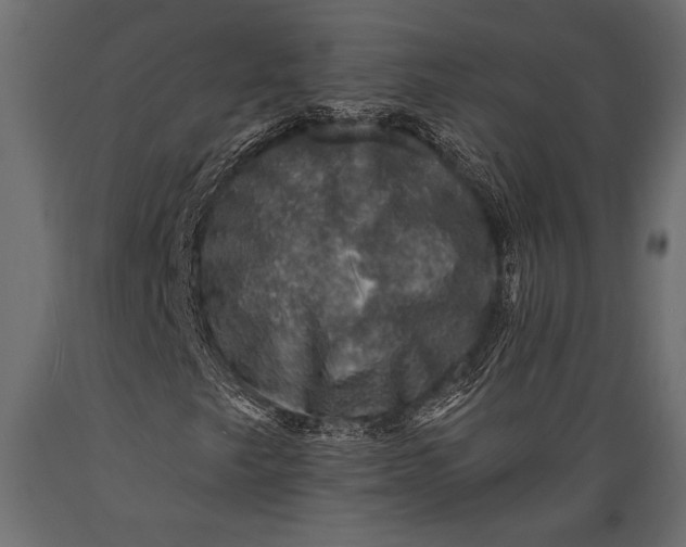 X0000088851249200706291447