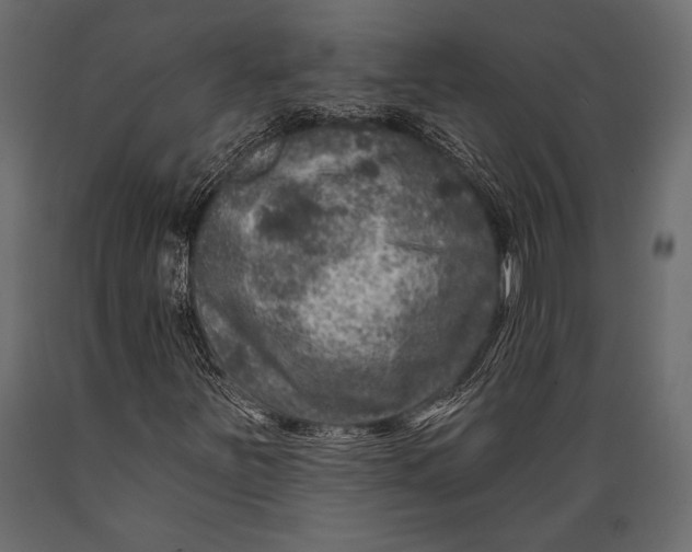 X0000088851251200706291447