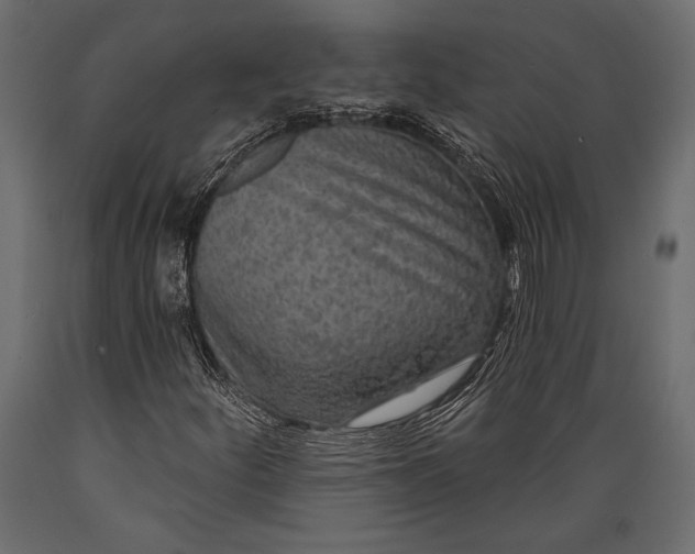 X0000088851252200706291447