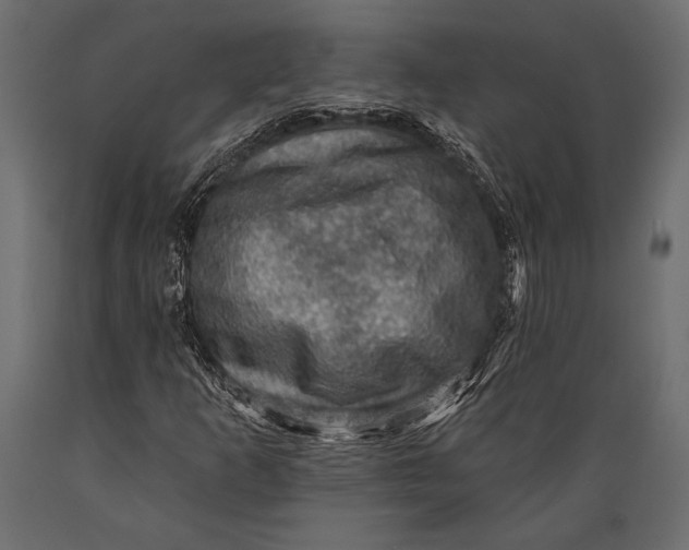 X0000088851253200706291447