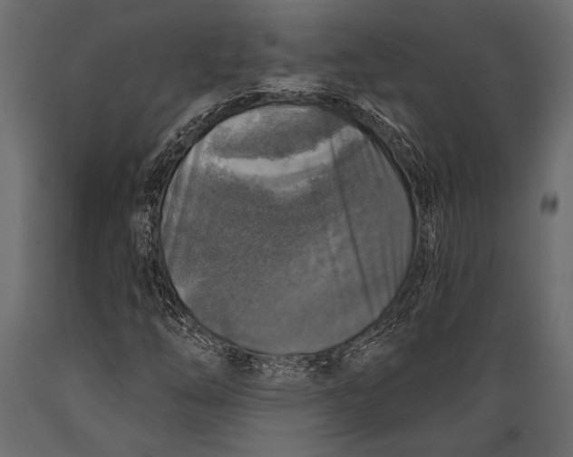 X0000088851254200706291447