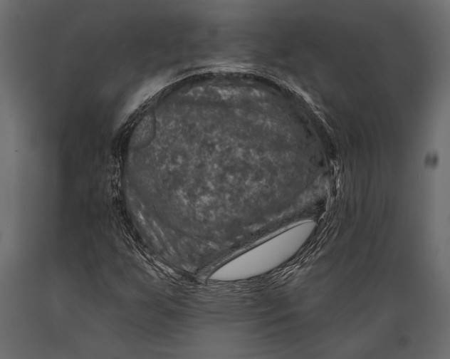 X0000088851255200706291447