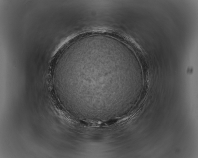 X0000088851256200706291447