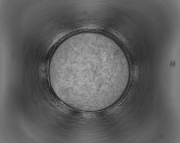 X0000088851258200706291447