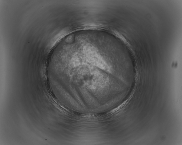 X0000088851259200706291447